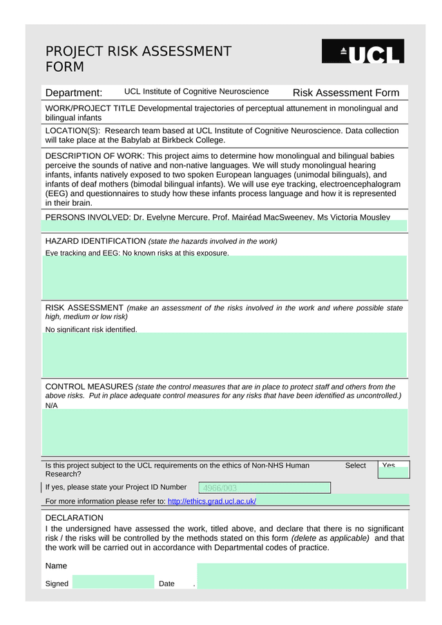 Project Risk Assessment Form screenshot