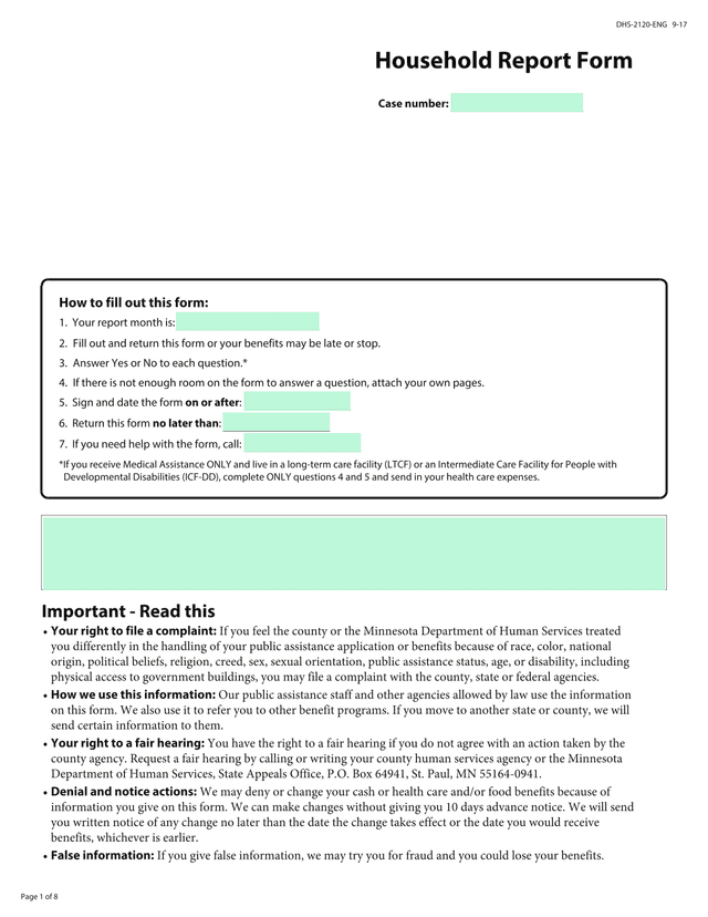 Household Report Form screenshot