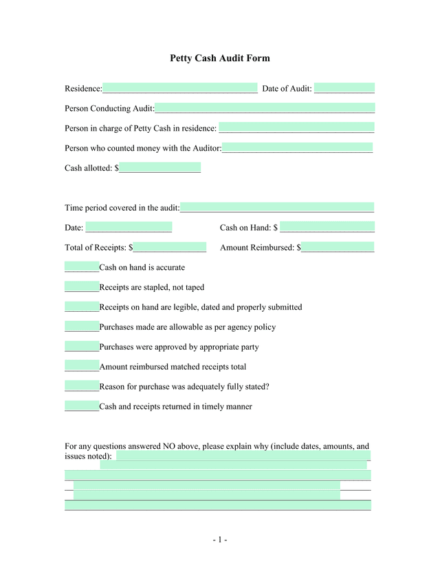 Petty Cash Audit Form screenshot