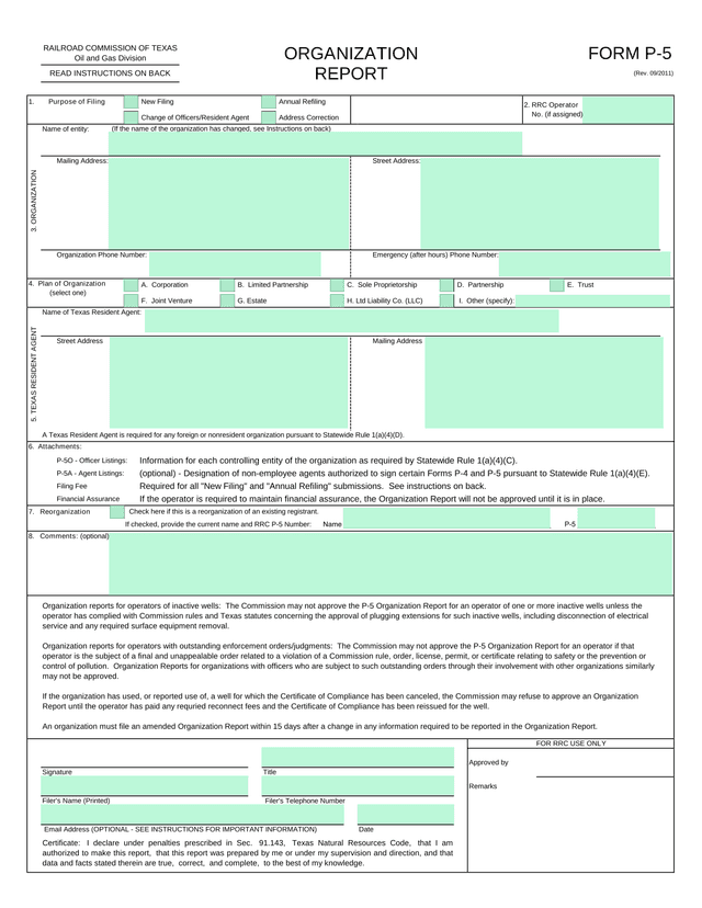 FORM P 5 Organization Report screenshot