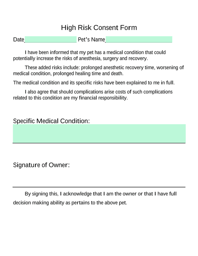 High Risk Consent Form screenshot