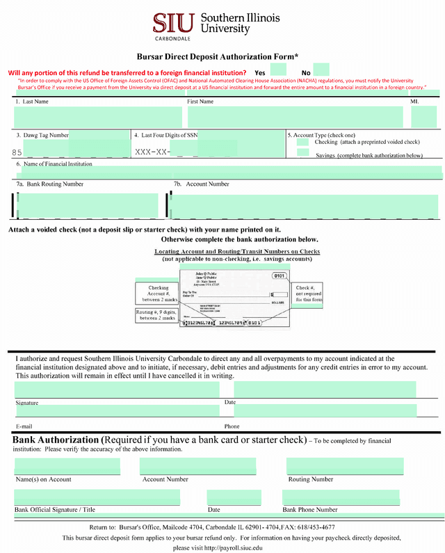 SIU Carbondale Direct Deposit Authorization Form screenshot