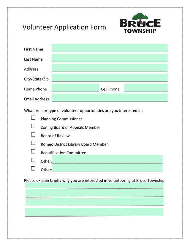 Volunteer Application Form screenshot