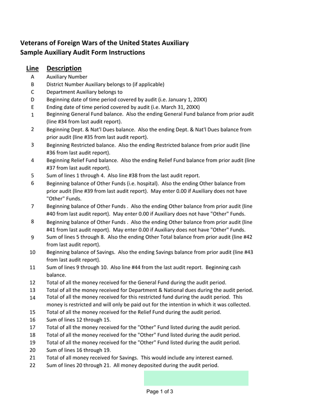 Sample Auxiliary Audit Form Instructions screenshot