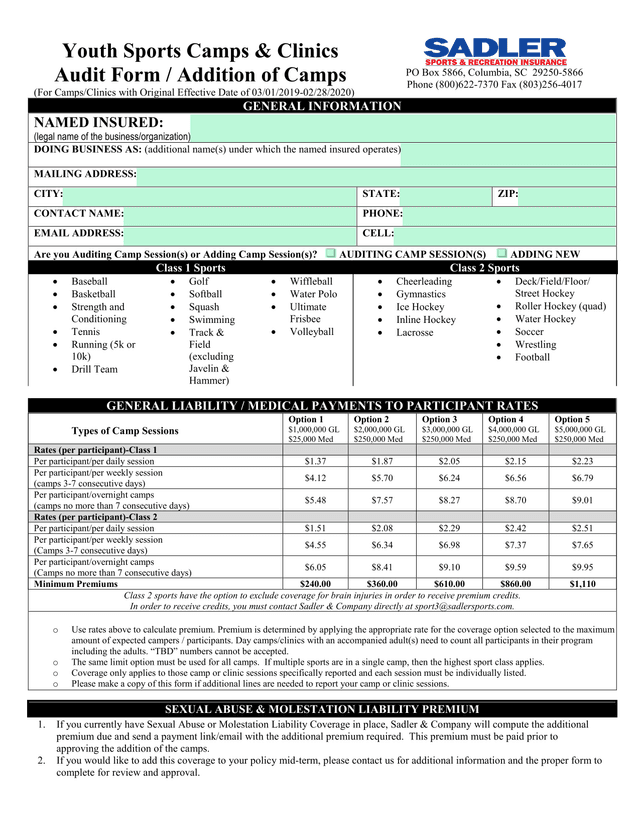 Youth Sports Camps  Clinics Audit Form  Addition Of Camps screenshot