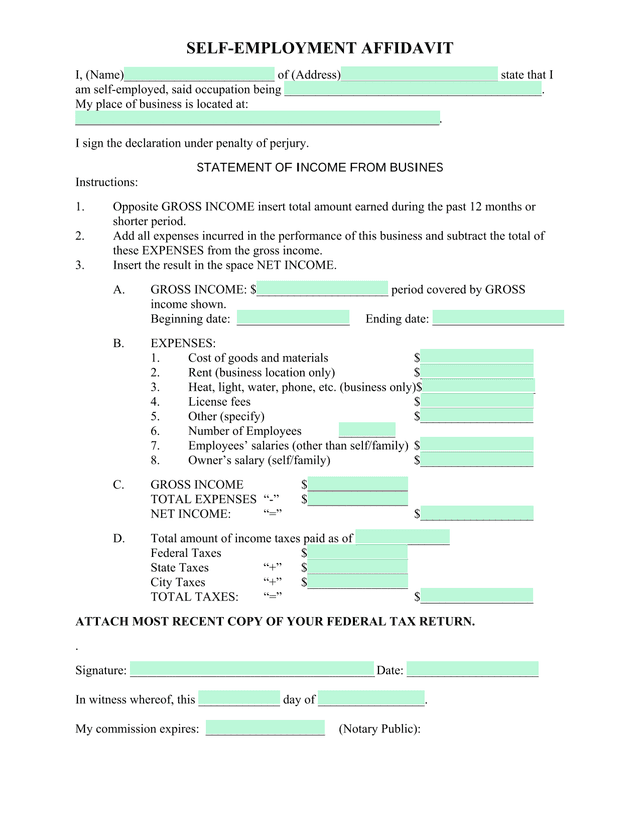 SELF EMPLOYMENT AFFIDAVIT screenshot