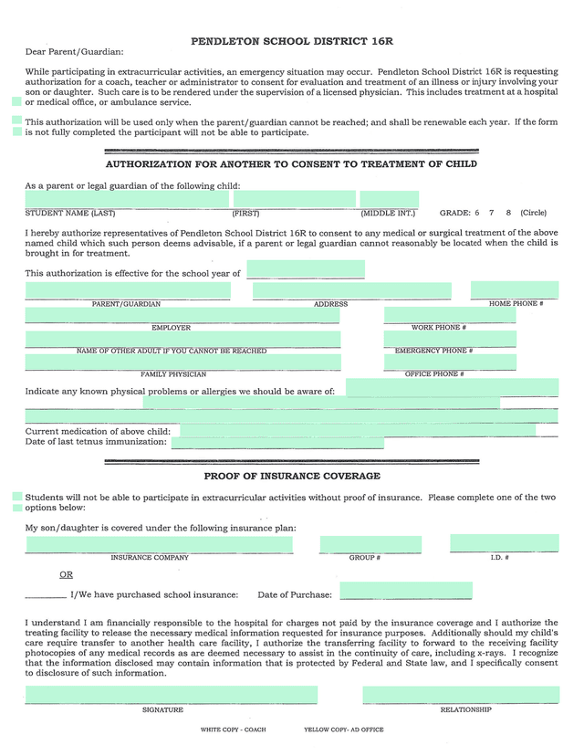 Authorization For Medical Treatment Of Child screenshot