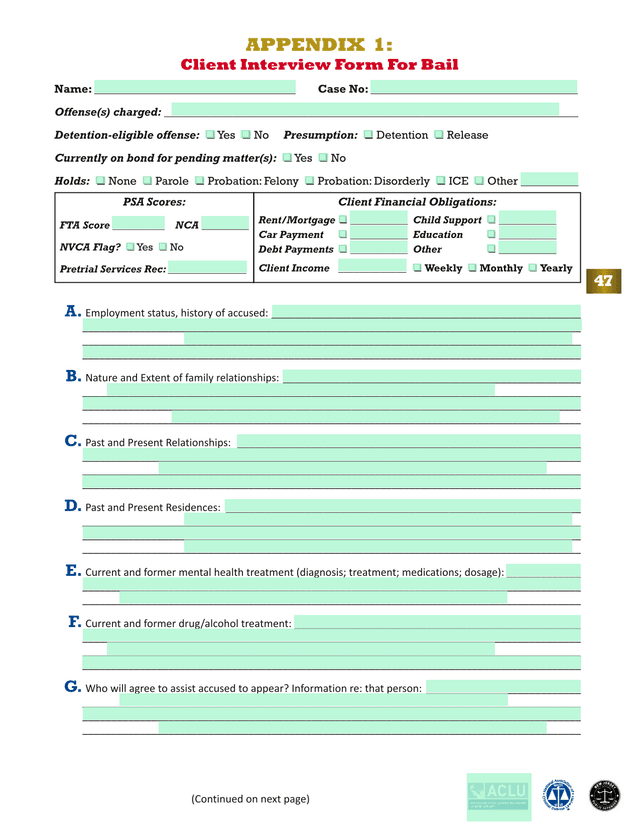 Client Interview Form For Bail screenshot