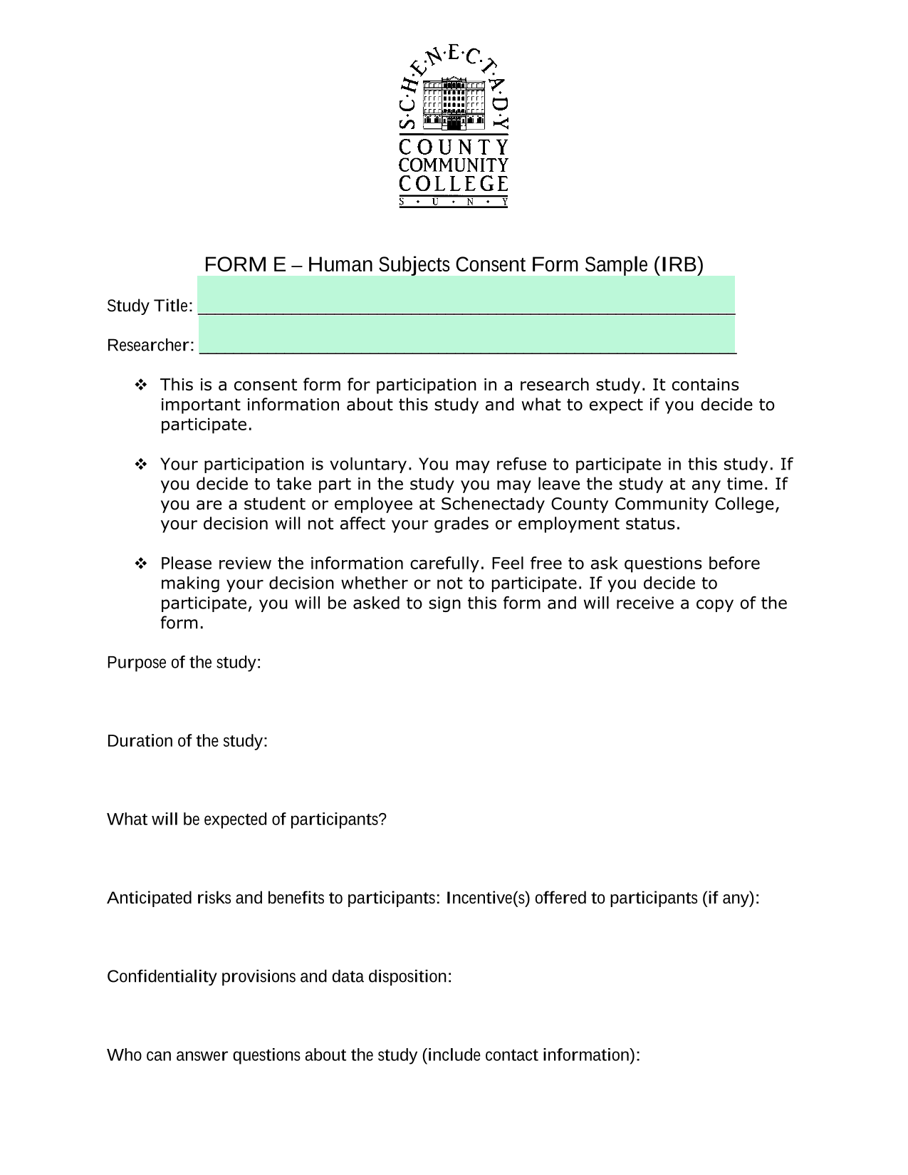 FORM E  Human Subjects Consent Form Sample (IRB) screenshot