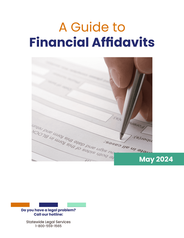 A Guide To Financial Affidavits screenshot