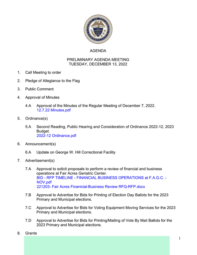 Preliminary Agenda Meeting screenshot