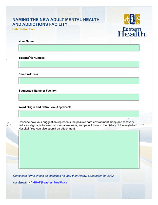 Naming The New Adult Mental Health And Addictions Facility Submission Form screenshot