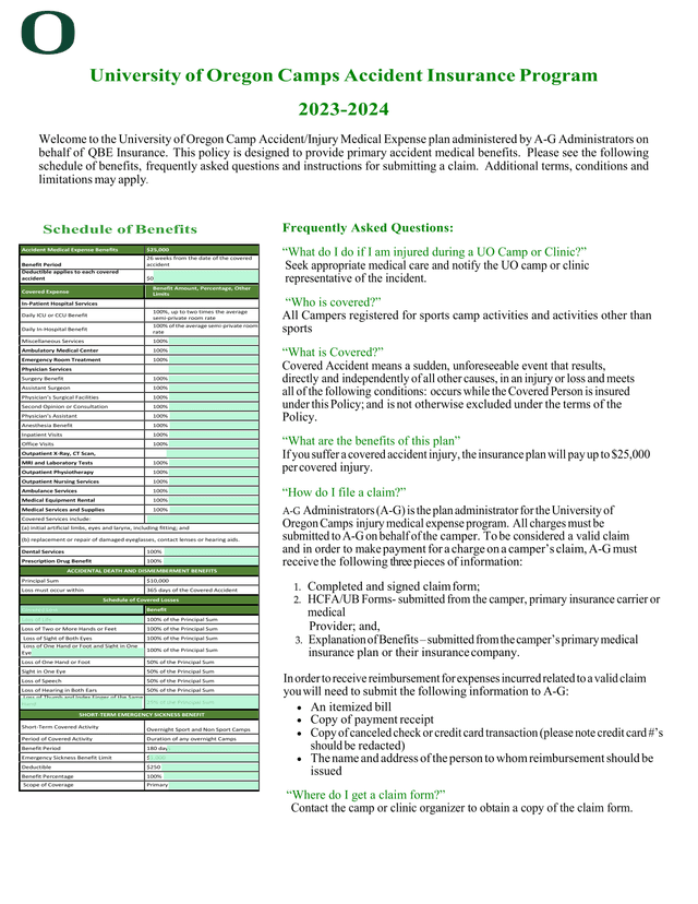 University Of Oregon Camps Accident Insurance Program screenshot