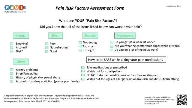 Pain Risk Factors Assessment Form screenshot