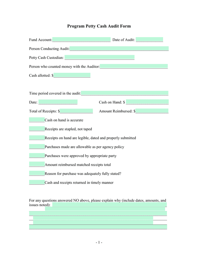 Program Petty Cash Audit Form screenshot
