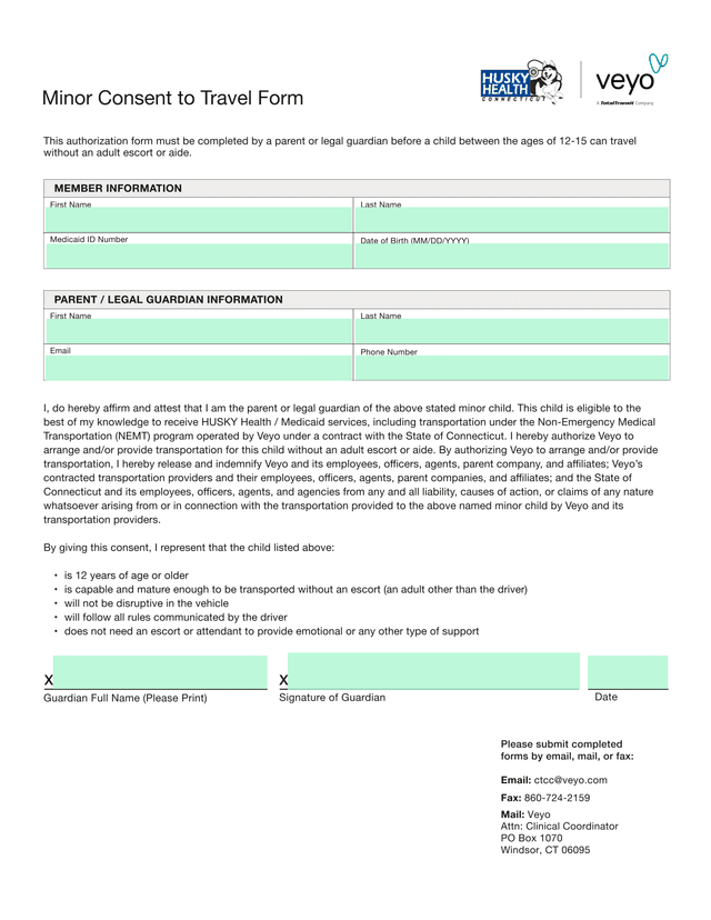 Minor Consent To Travel Form screenshot