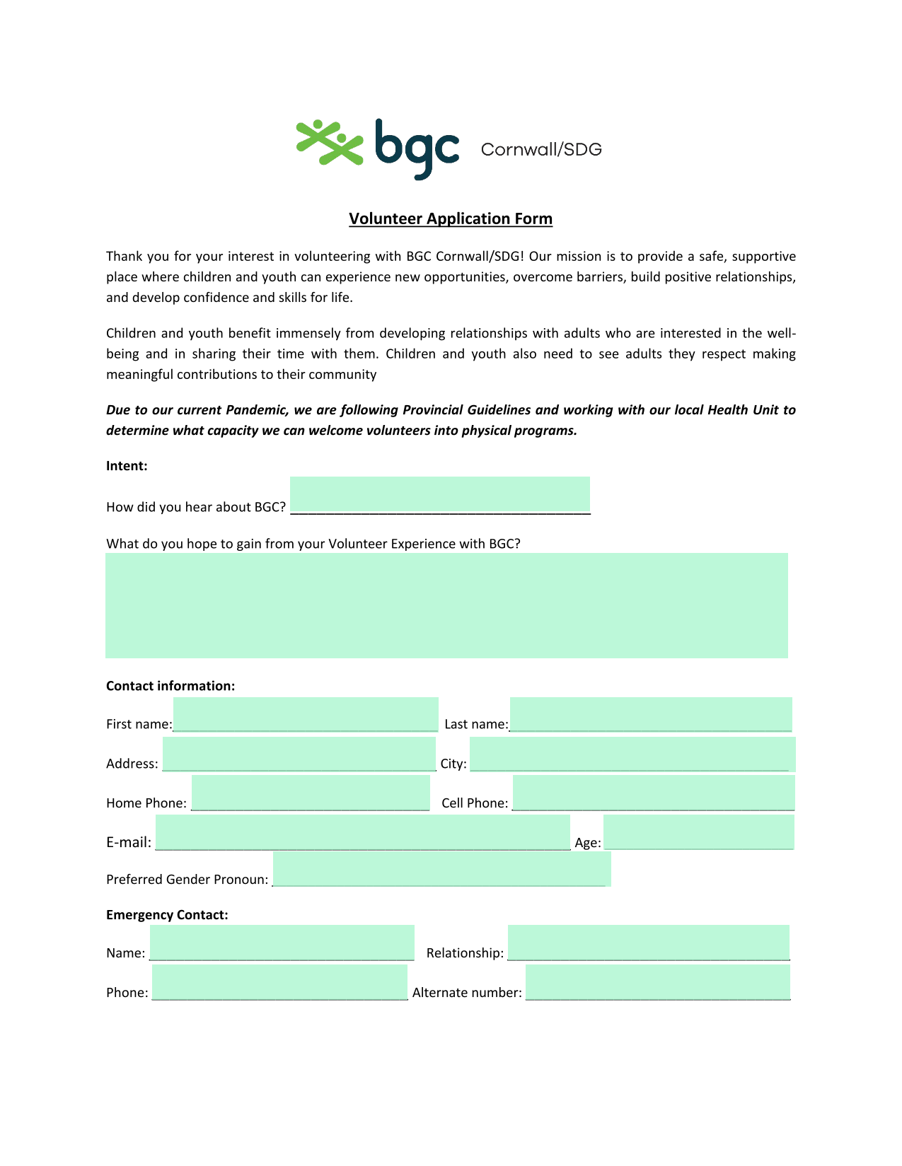 Volunteer Application Form screenshot