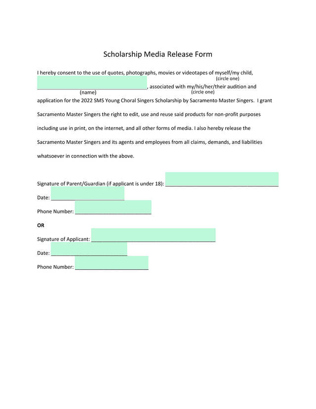 Scholarship Media Release Form screenshot