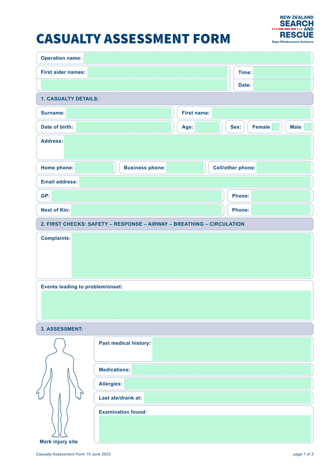 Casualty Assessment Form screenshot