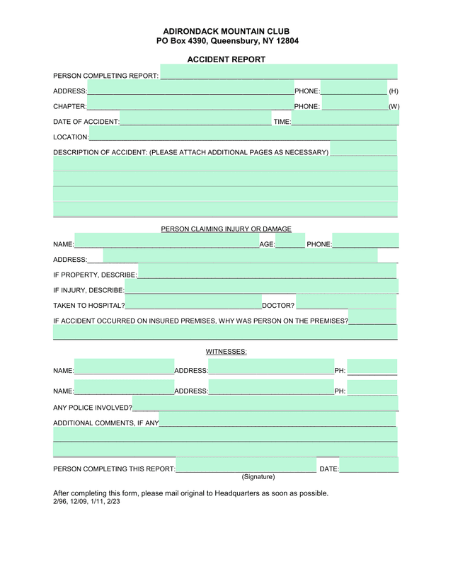 Accident Report screenshot