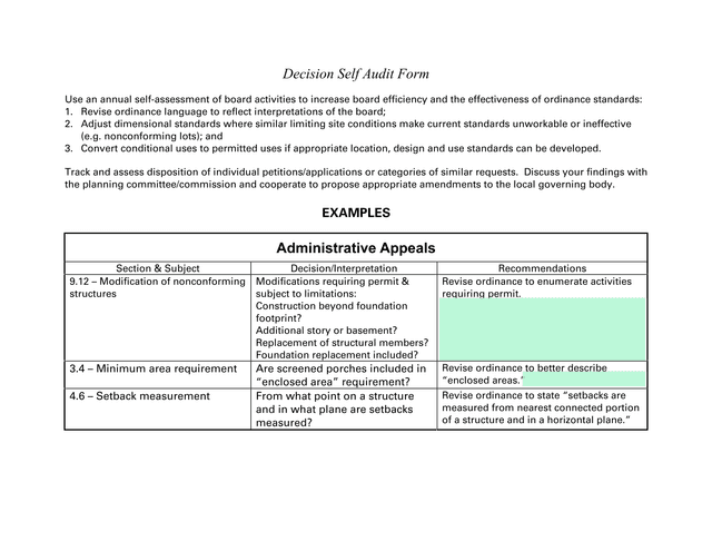 Decision Self Audit Form screenshot