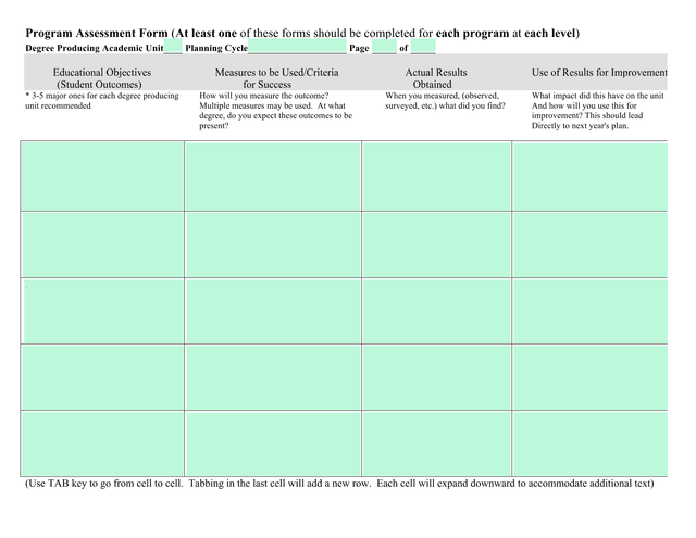 Program Assessment Form screenshot