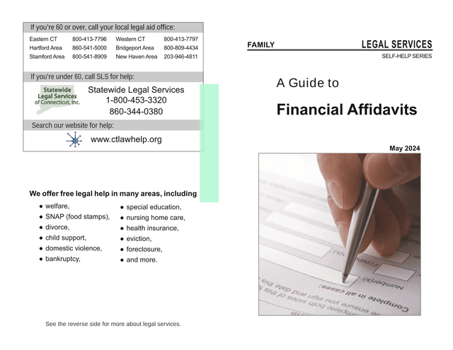 A Guide To Financial Affidavits screenshot