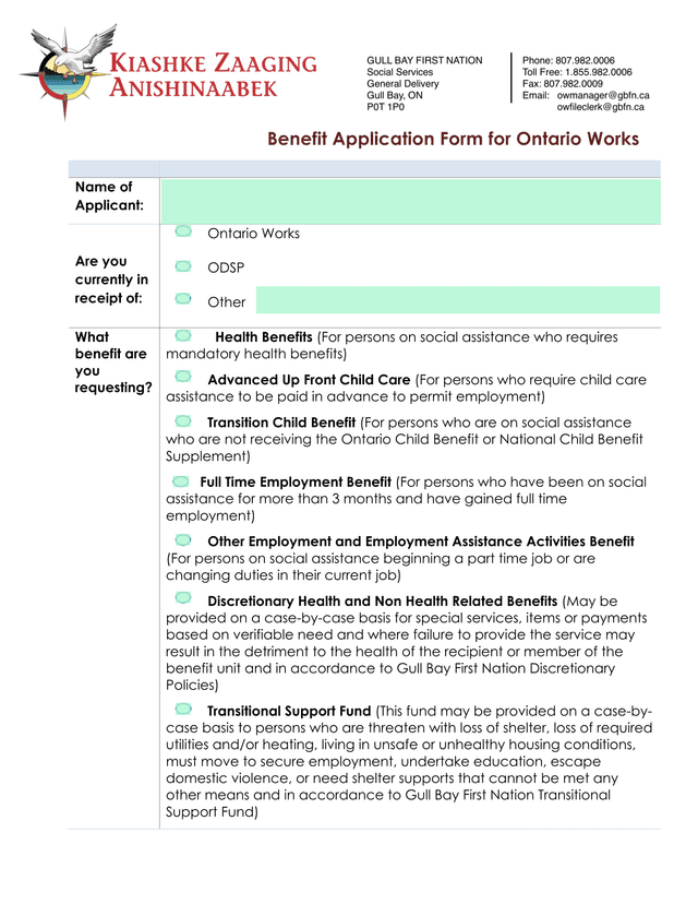 Benefit Application Form For Ontario Works screenshot