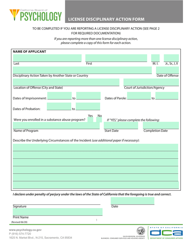 License Disciplinary Action Form screenshot