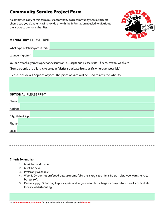 Community Service Project Form screenshot