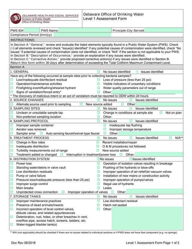 Level 1 Assessment Form screenshot