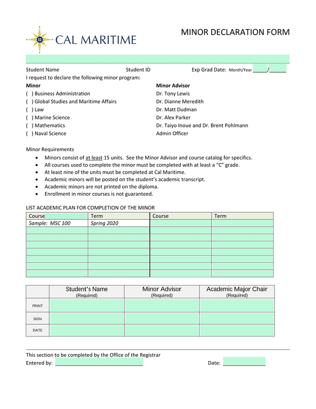 Minor Declaration Form screenshot
