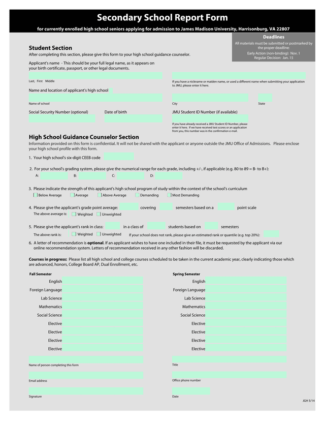 Secondary School Report Form screenshot