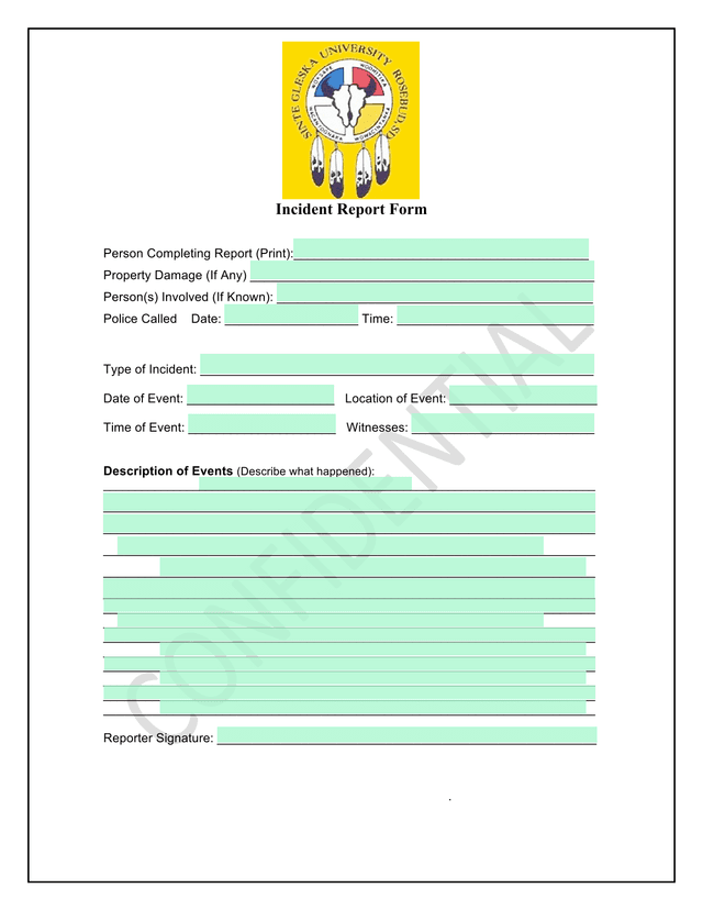 Incident Report Form screenshot