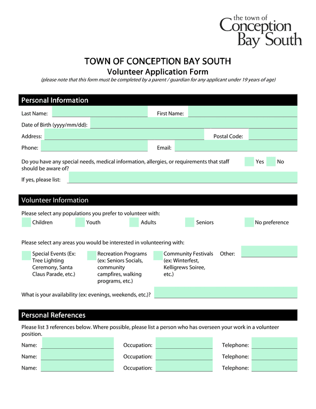 Volunteer Application Form screenshot