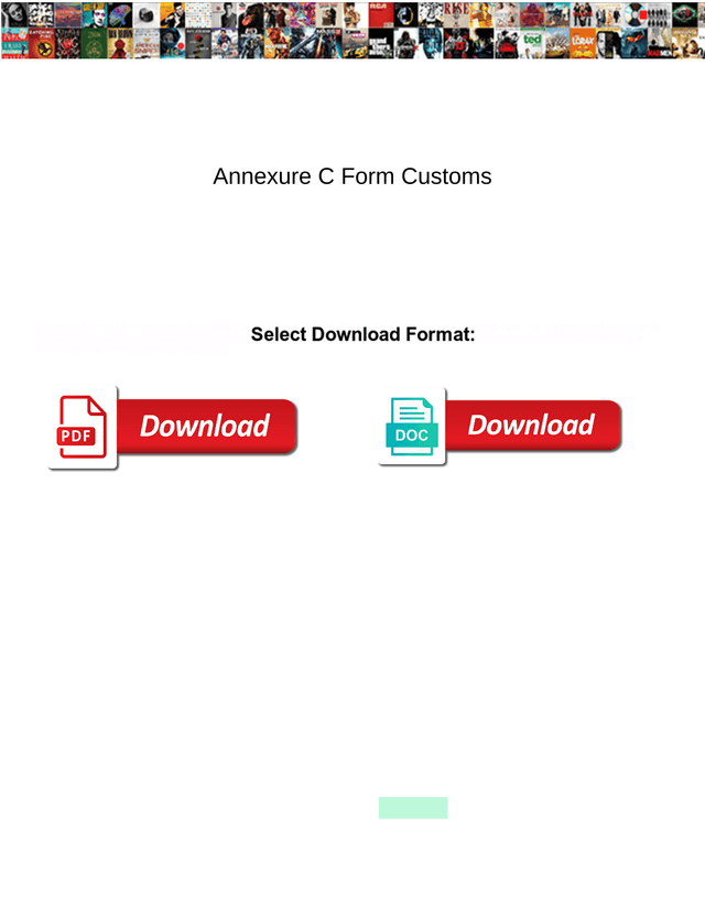 Annexure C Form Customs screenshot