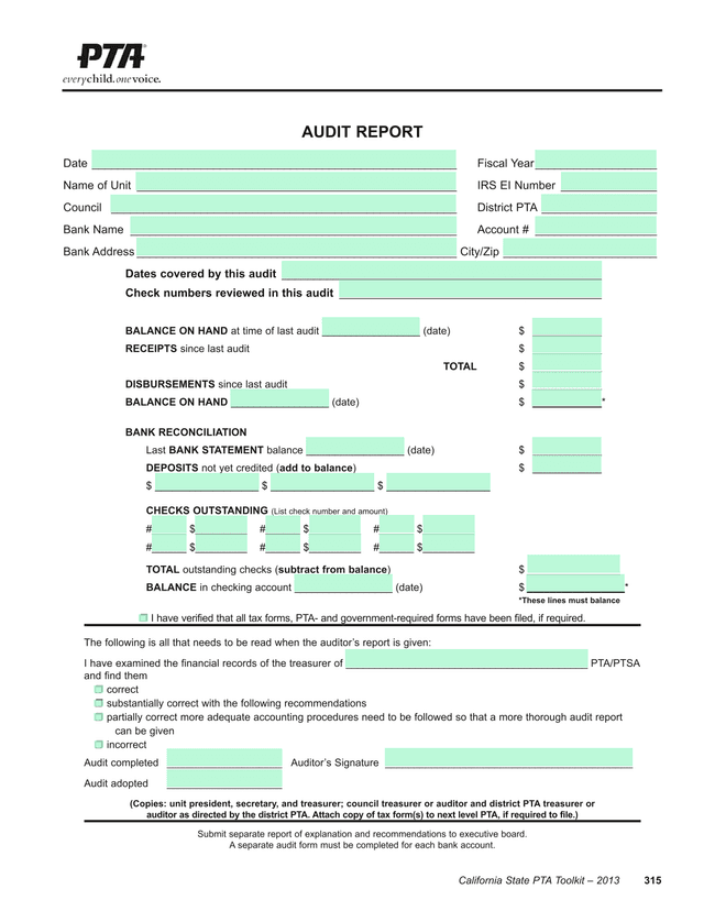 315 Audit Report screenshot