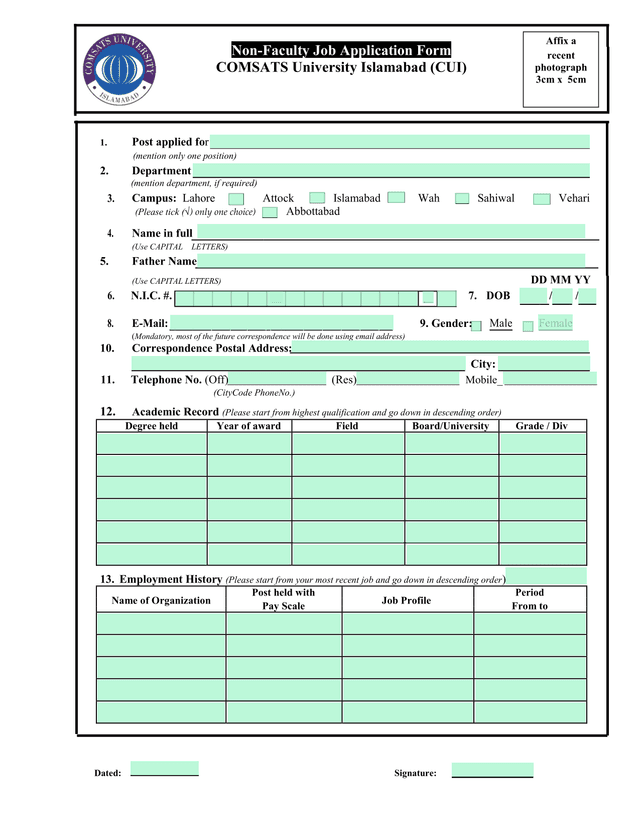 Non Faculty Job Application Form screenshot