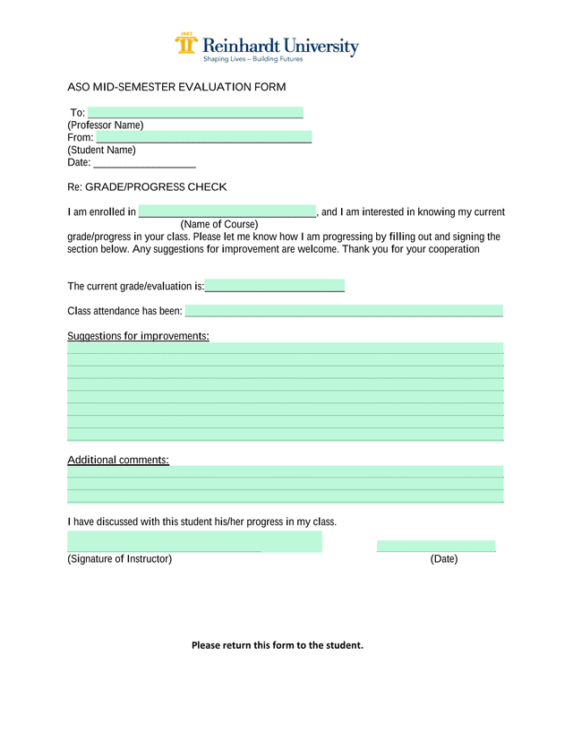 ASO Mid Semester Evaluation Form screenshot