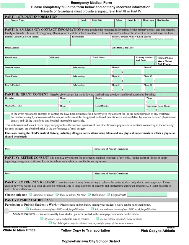 Emergency Medical Form screenshot