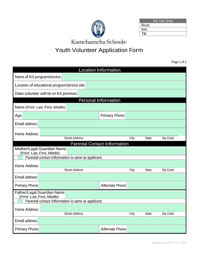 Youth Volunteer Application Form screenshot
