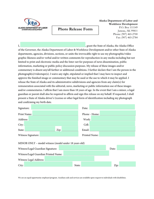 Media Release And Consent Form screenshot