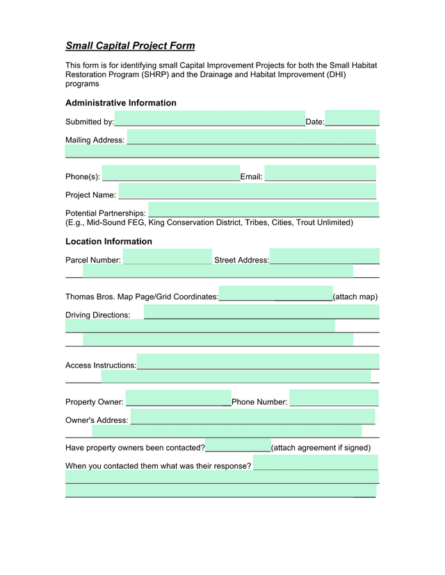 Small Capital Project Form screenshot