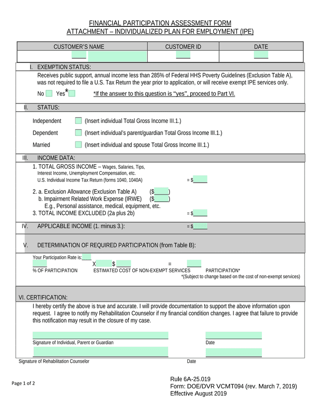 Financial Participation Assessment Form screenshot