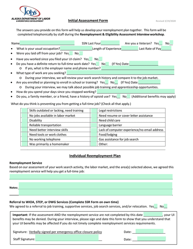 Initial Assessment Form screenshot