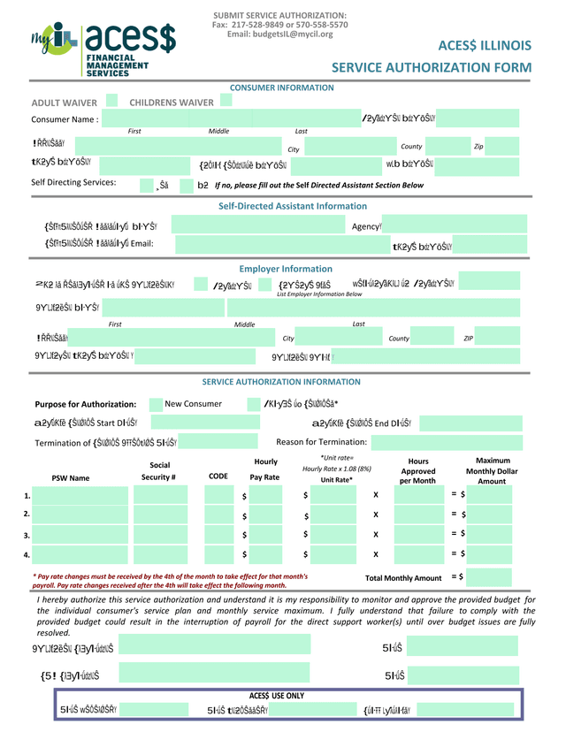 Consumer Directed Services Authorization Form screenshot