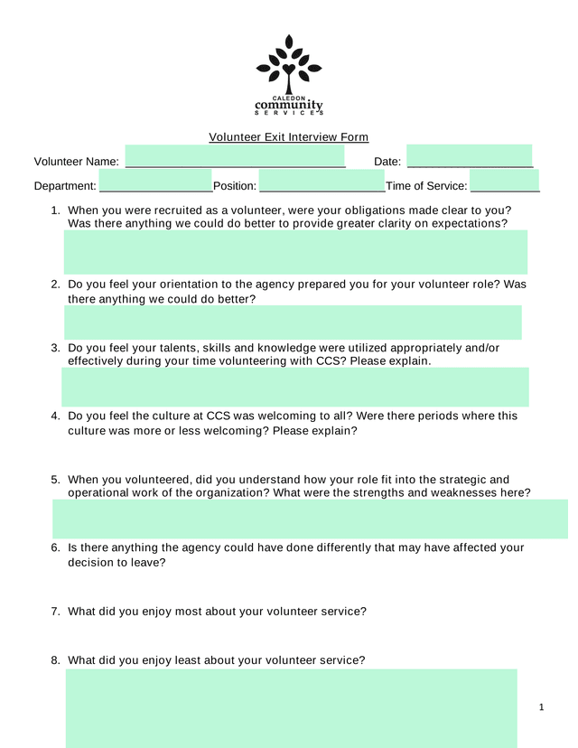 Volunteer Exit Interview Form screenshot