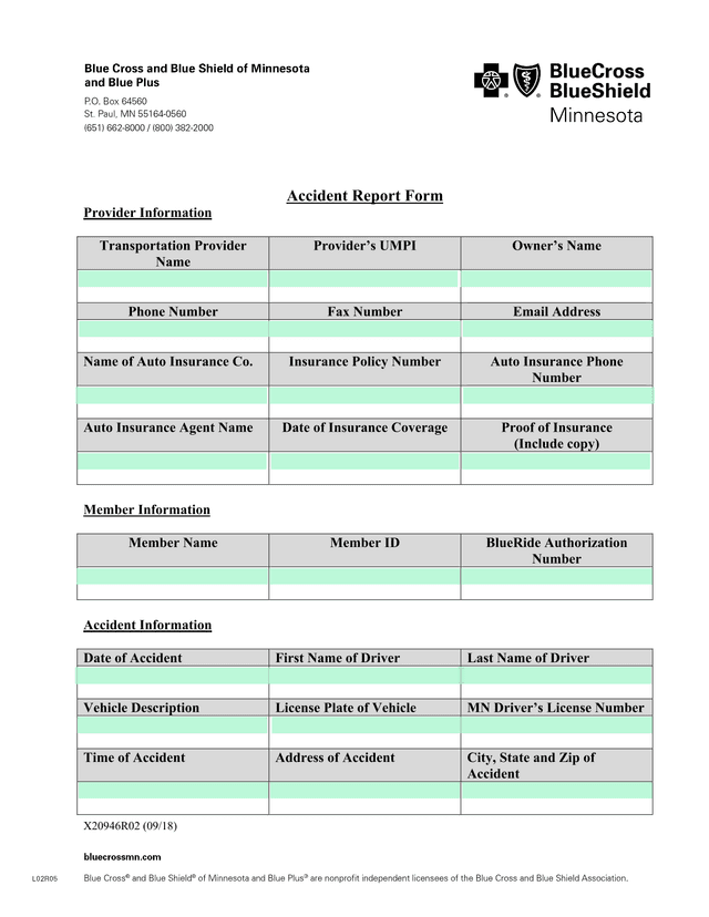 Accident Report Form screenshot