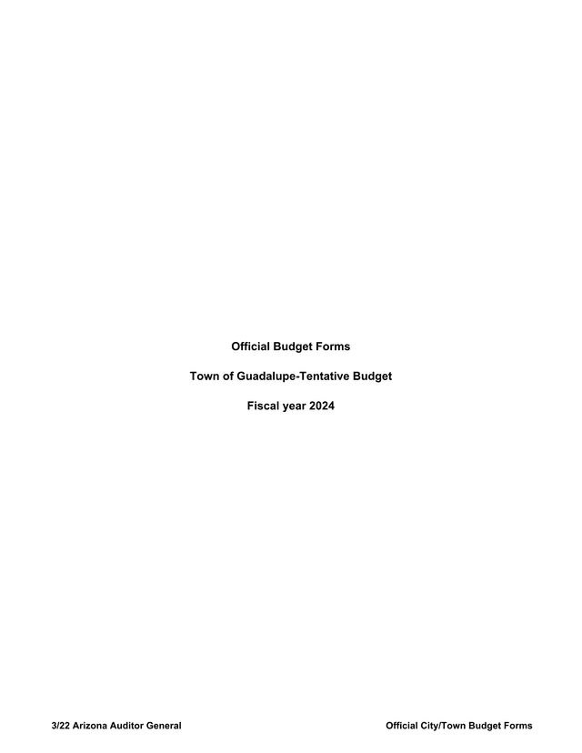 Official Budget Forms   Town Of Guadalupe Tentative Budget screenshot