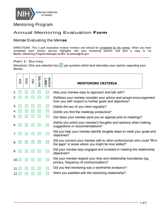 Annual Mentoring Evaluation Form screenshot